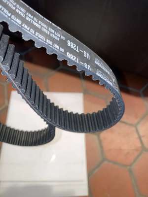 T286 Timing Belt image 3